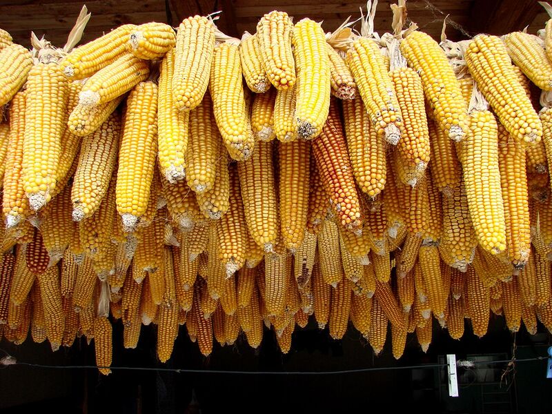 Săpânța
